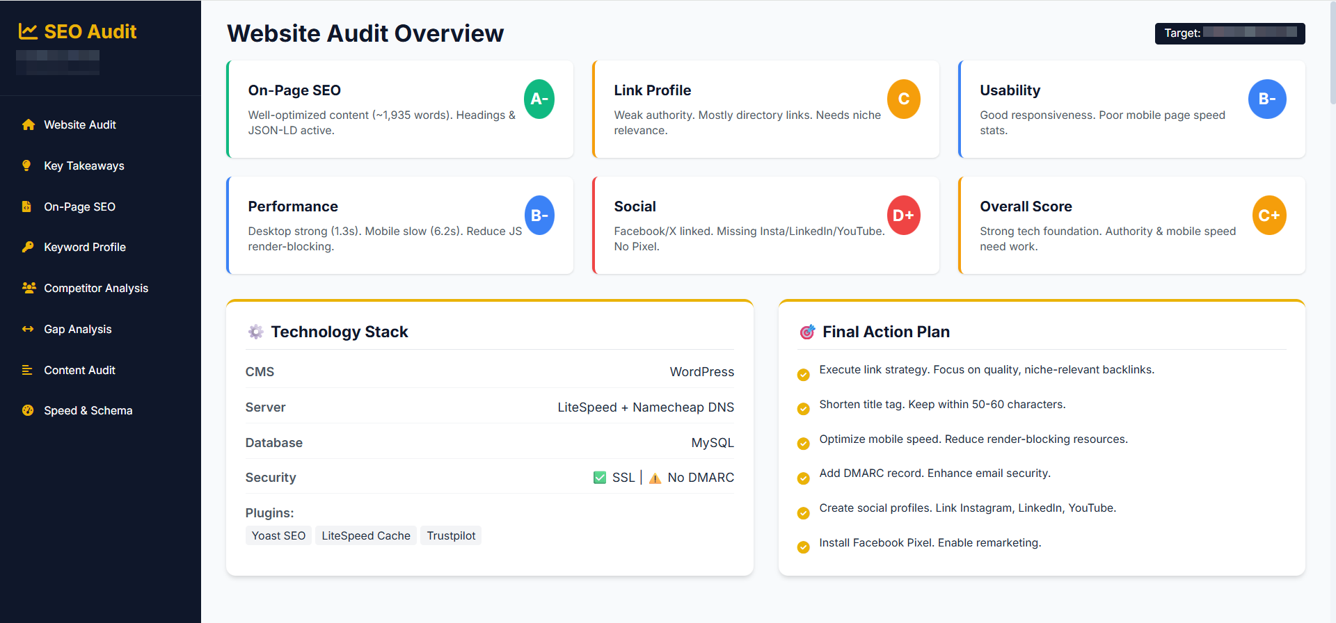 Website Audit Overview - Complete technical audit showing grades for on-page SEO, link profile, performance, usability, social metrics, technology stack, and final action plan